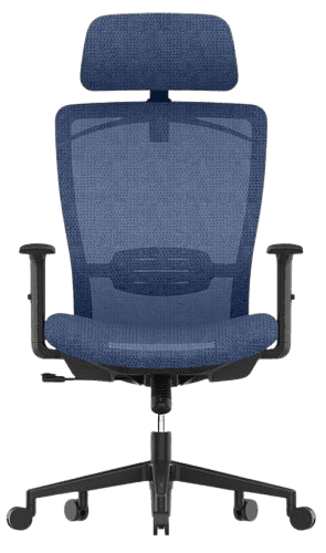 FLEXISPOT Mesh Ergonomic Chair